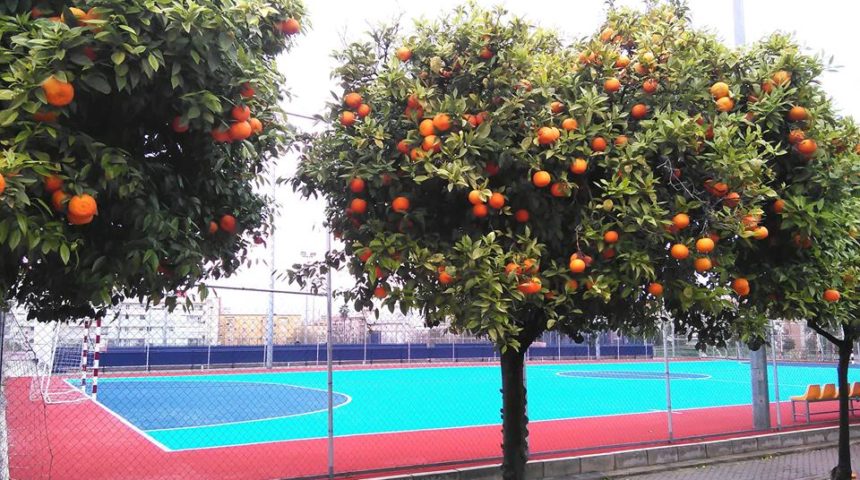 Recuperación de la pista de fútbol sala del Centro Deportivo Hytasa