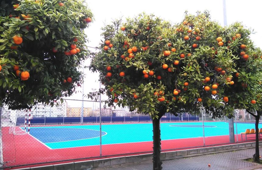 Recuperación de la pista de fútbol sala del Centro Deportivo Hytasa